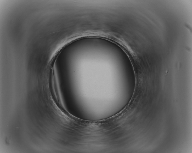 X0000091311504200708241102