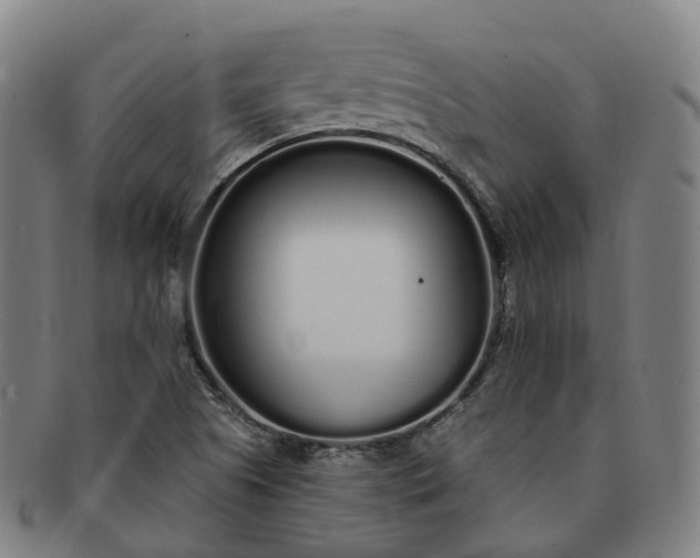 X0000091311505200708241102