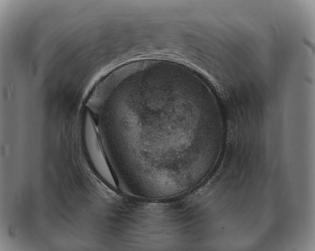 X0000091311506200708241102