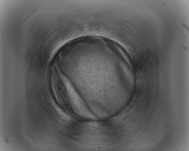 X0000091311507200708241102