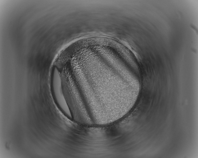 X0000091311508200708241102