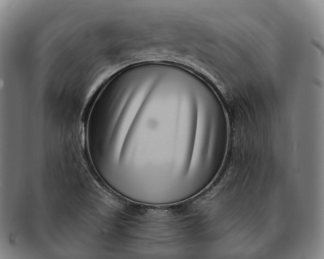 X0000091311509200708241102