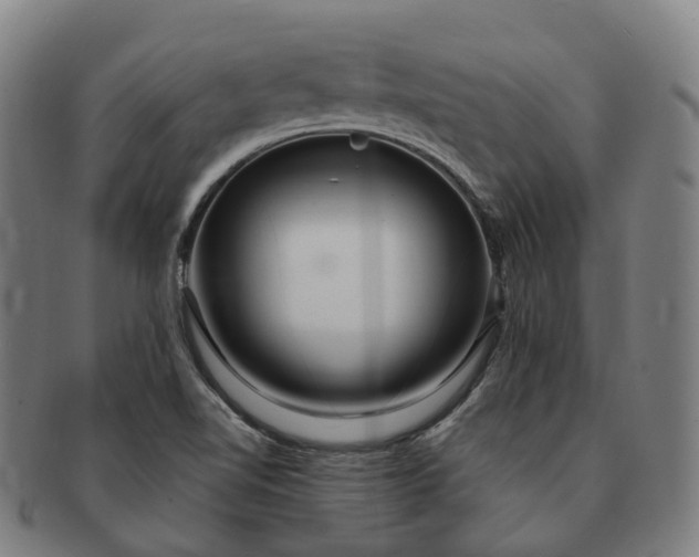 X0000091311510200708241102