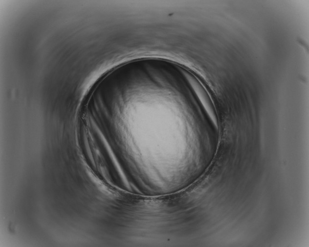 X0000091311511200708241102