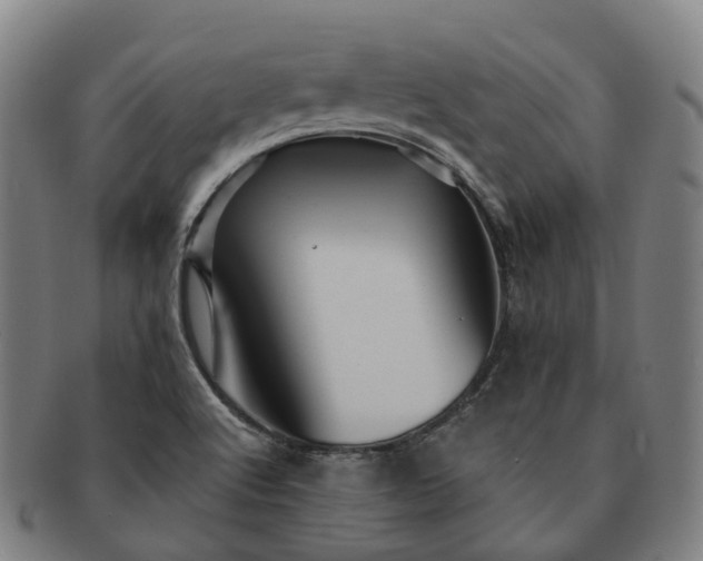 X0000091311512200708241102