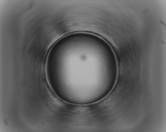 X0000091311513200708241102