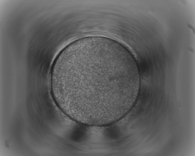 X0000091311514200708241102