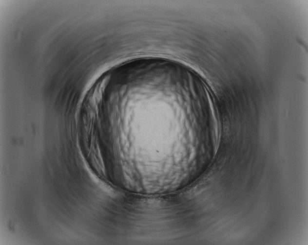 X0000091311515200708241102