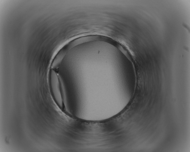 X0000091311516200708241102