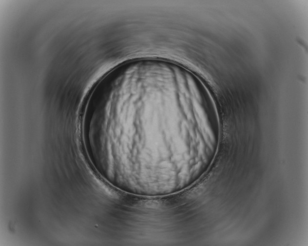 X0000091311517200708241102