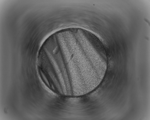 X0000091311518200708241102