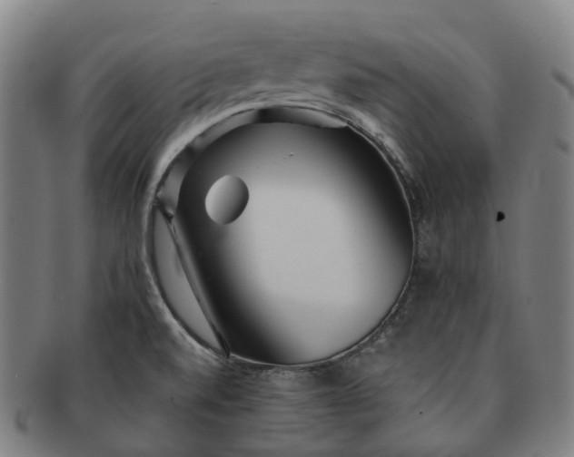 X0000091311520200708241102