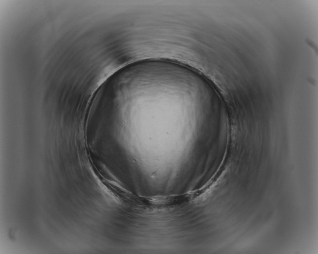 X0000091311521200708241102