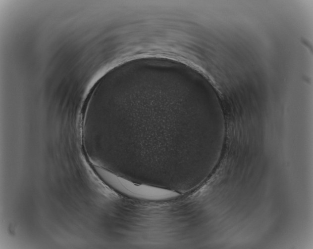 X0000091311522200708241102