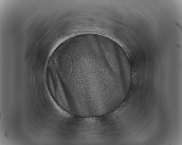 X0000091311523200708241102