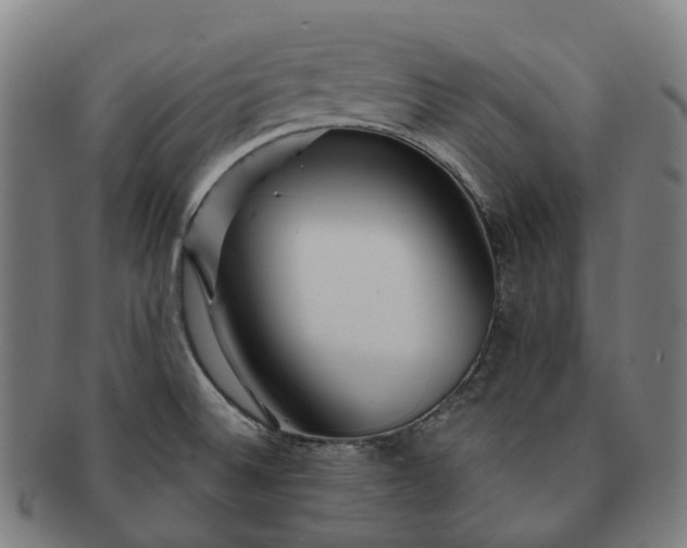 X0000091311524200708241102