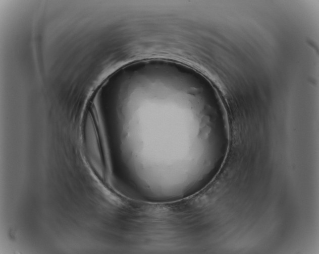 X0000091311525200708241102