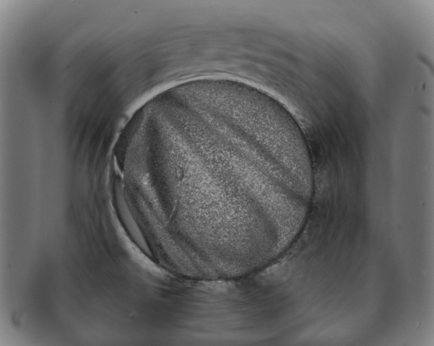 X0000091311526200708241102