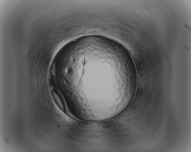 X0000091311527200708241102