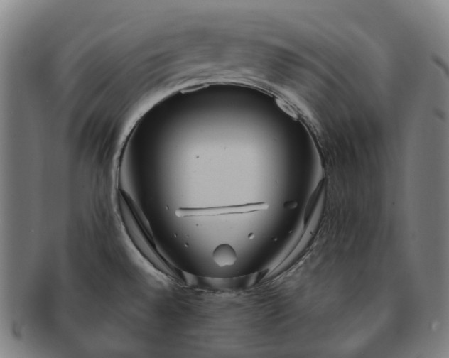 X0000091311528200708241102