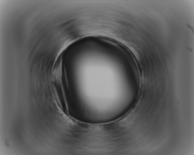 X0000091311529200708241102