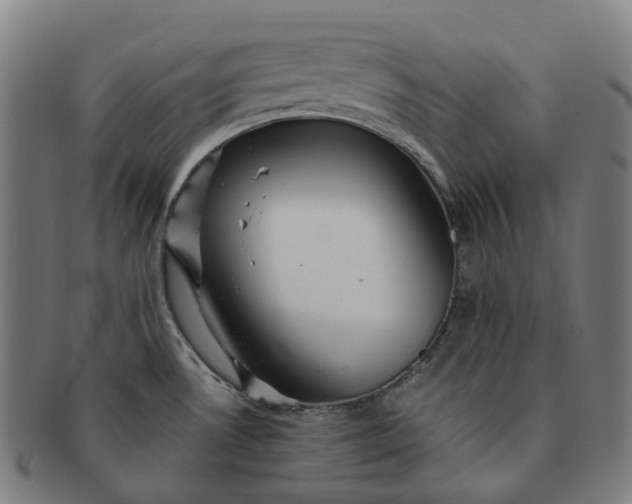 X0000091311530200708241102