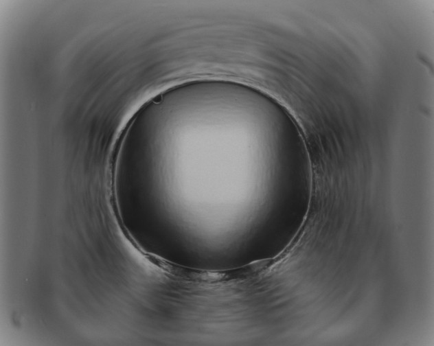 X0000091311531200708241102