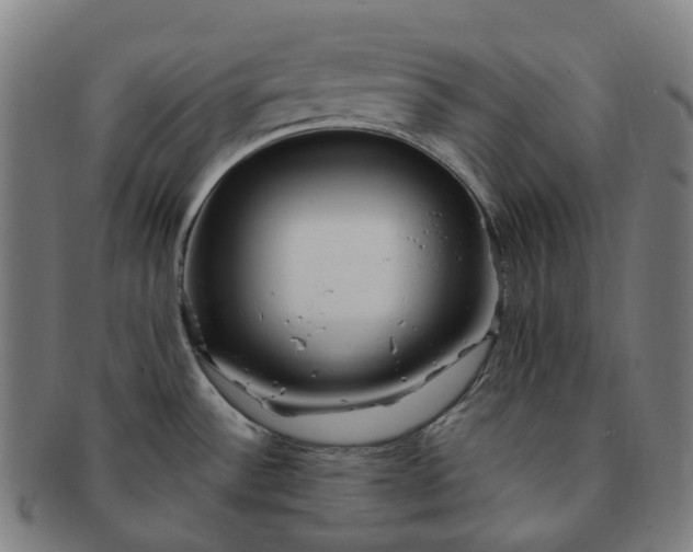 X0000091311532200708241102