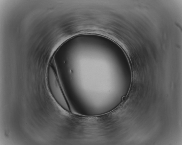 X0000091311533200708241102