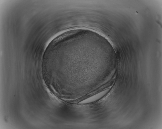 X0000091311534200708241102