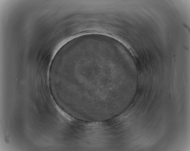 X0000091311535200708241102