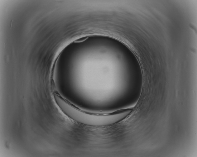 X0000091311536200708241102