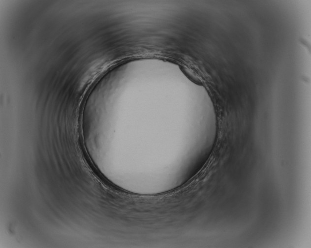 X0000091310002200708311406