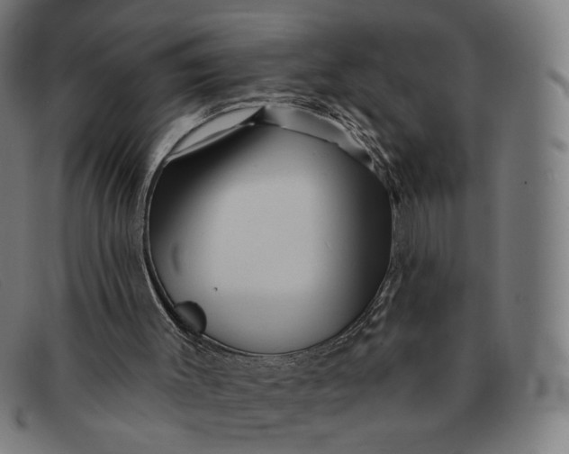 X0000091310003200708311406