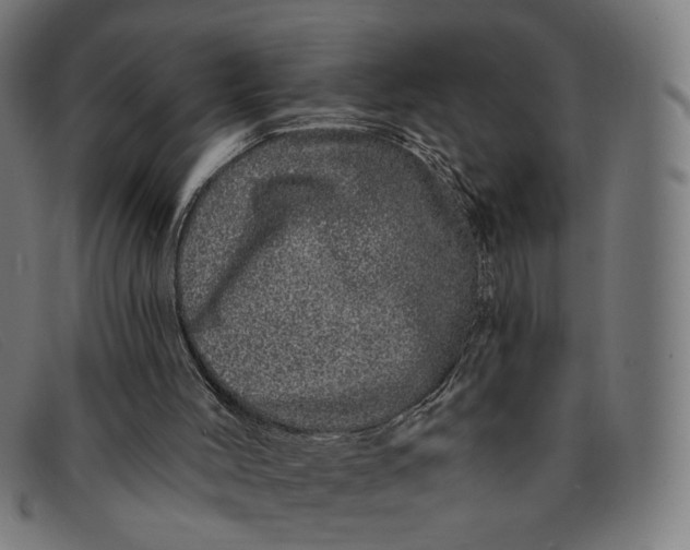 X0000091310004200708311406