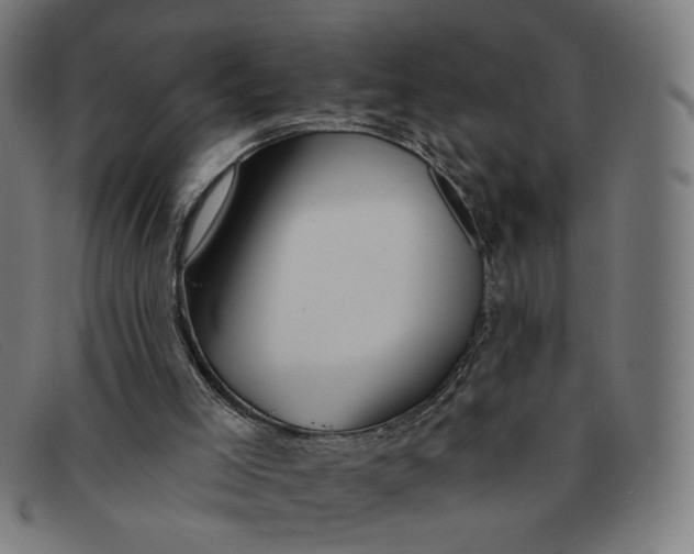 X0000091310005200708311406