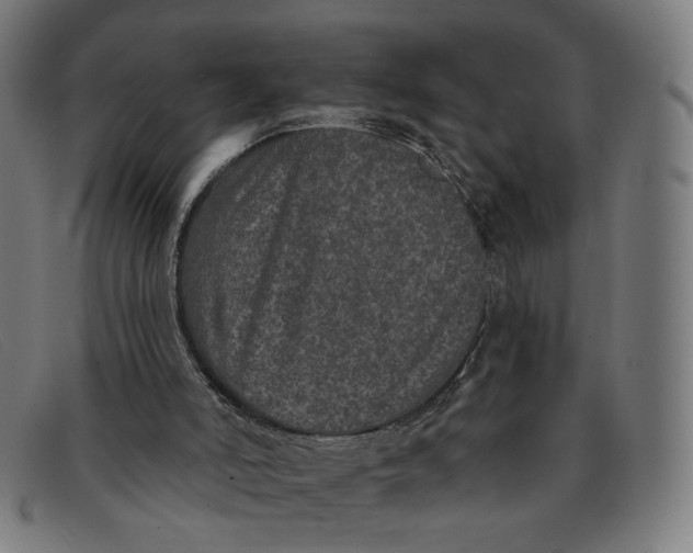 X0000091310006200708311406