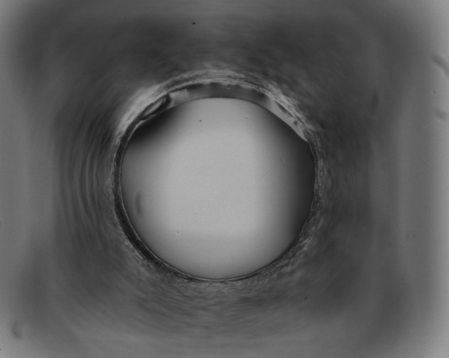 X0000091310007200708311406