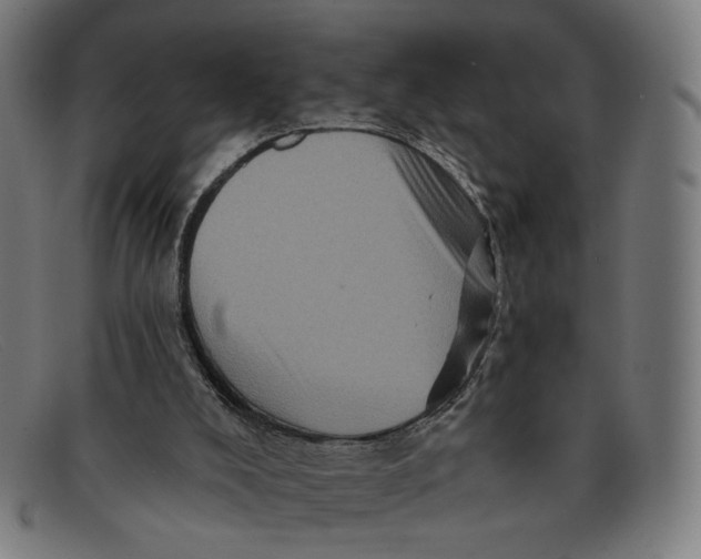 X0000091310008200708311406