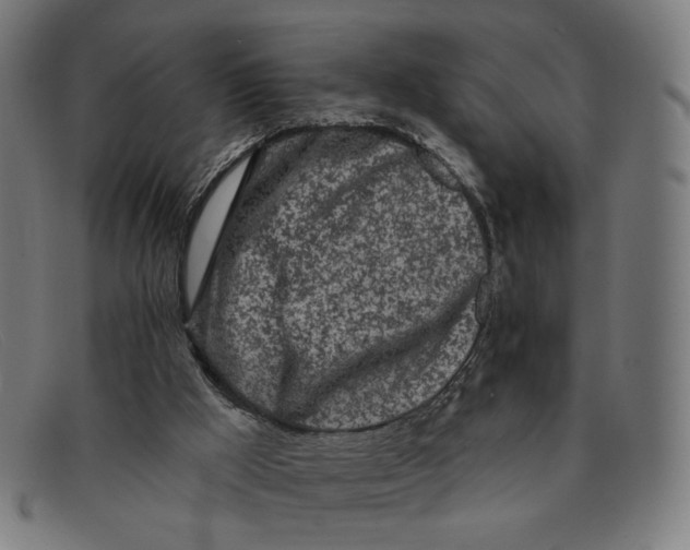 X0000091310009200708311406