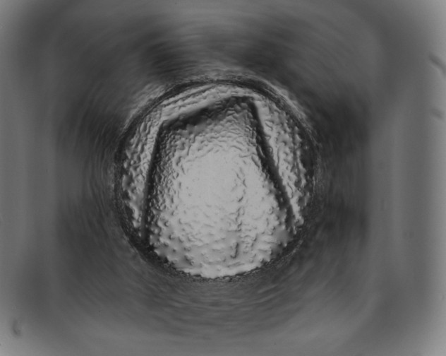 X0000091310010200708311406