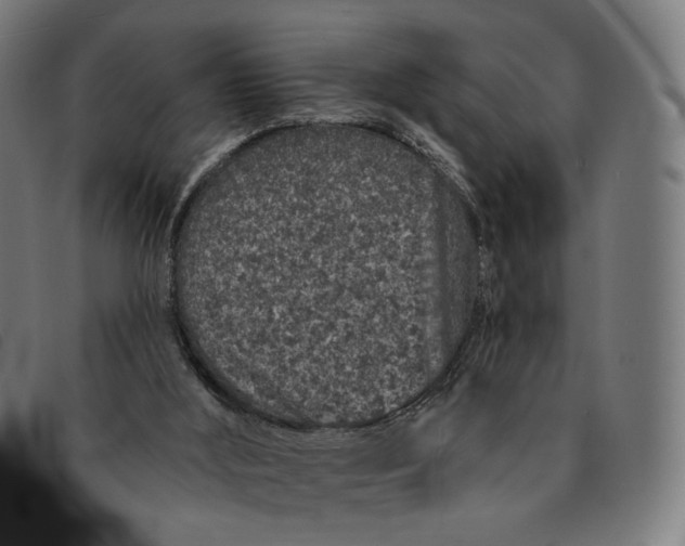 X0000091310012200708311406