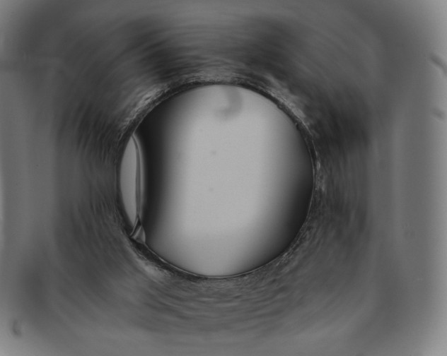 X0000091310013200708311406