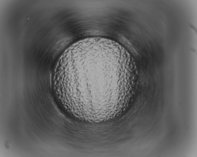 X0000091310014200708311406