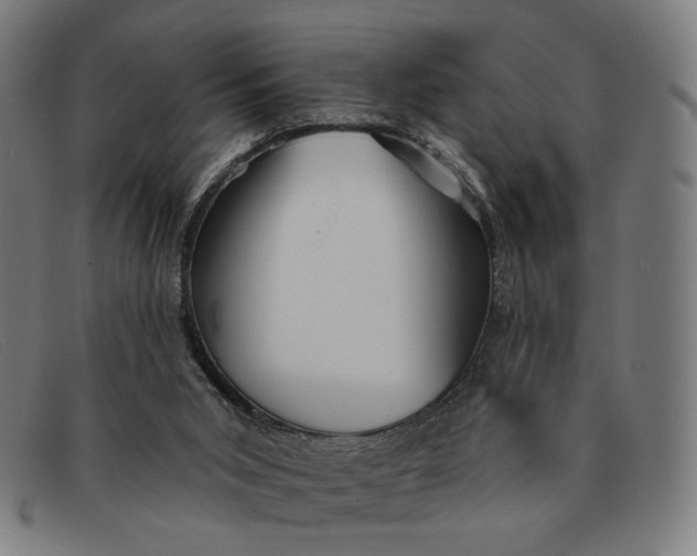 X0000091310015200708311406