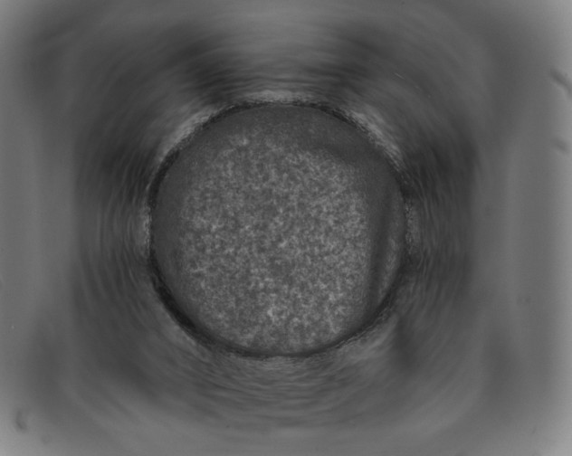 X0000091310016200708311406