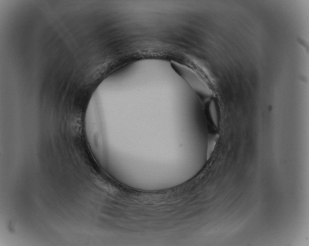 X0000091310017200708311406