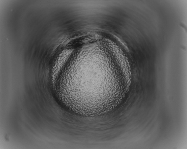 X0000091310018200708311406