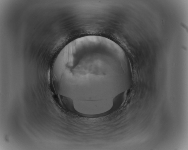 X0000091310019200708311406