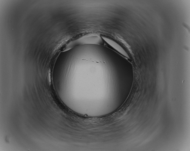 X0000091310020200708311406